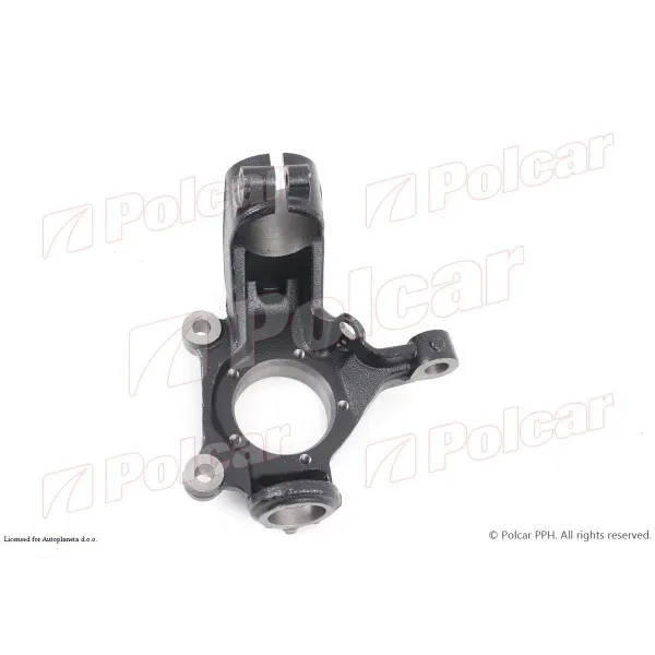 Glavčina/kućište ležaja točka FORD TRANSIT (V184/5), 00-06; 